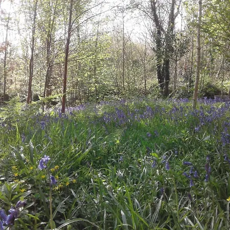 住宿加早餐酒店 Devenish 巴林罗布