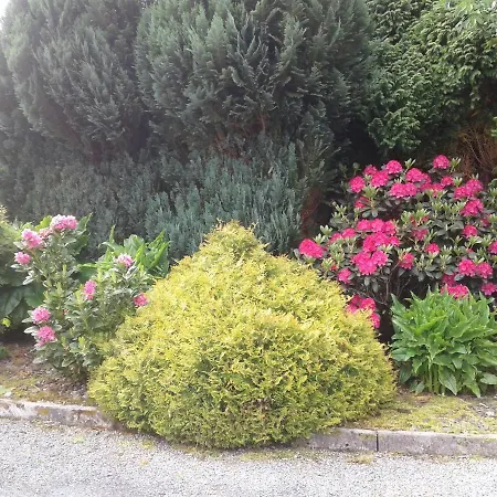 Devenish 3* 巴林罗布