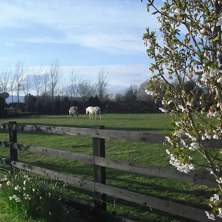 Devenish 3* 巴林罗布