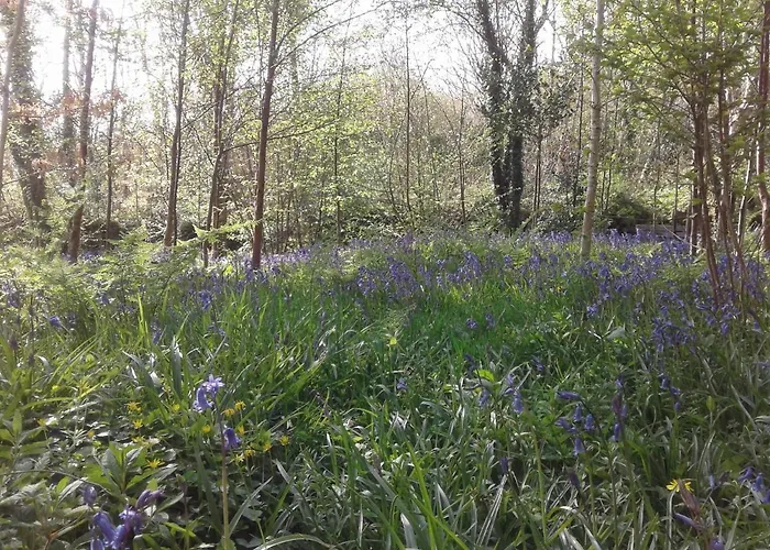 Bed and breakfast Devenish Ballinrobe