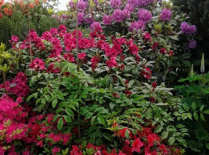 Devenish Bed and breakfast