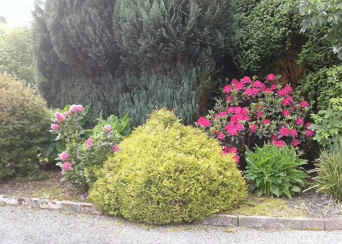 Devenish 3* Ballinrobe