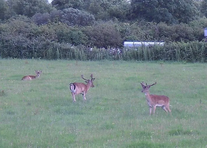 Bed & Breakfast Devenish Ballinrobe