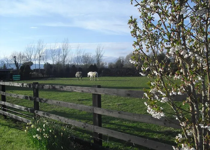 Devenish 3* Ballinrobe